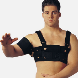 KDL Shoulder